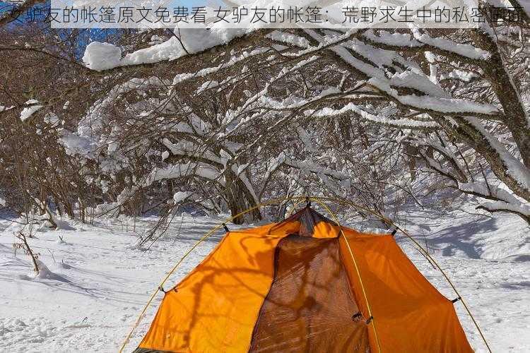 女驴友的帐篷原文免费看 女驴友的帐篷：荒野求生中的私密画面