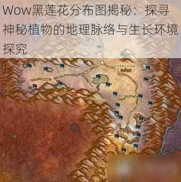 Wow黑莲花分布图揭秘：探寻神秘植物的地理脉络与生长环境探究