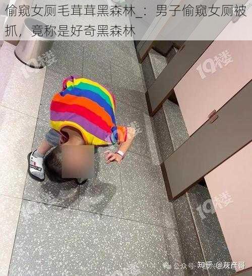 偷窥女厕毛茸茸黑森林_：男子偷窥女厕被抓，竟称是好奇黑森林