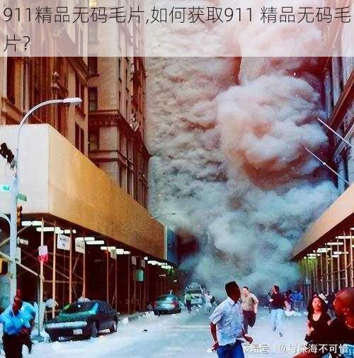 911精品无码毛片,如何获取911 精品无码毛片？