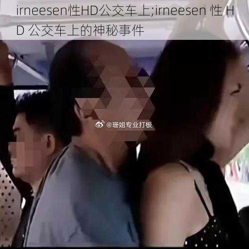 irneesen性HD公交车上;irneesen 性 HD 公交车上的神秘事件