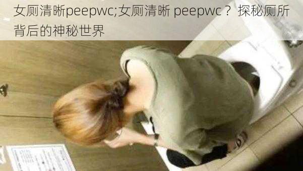 女厕清晰peepwc;女厕清晰 peepwc ？探秘厕所背后的神秘世界