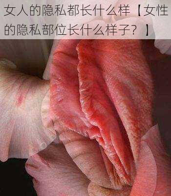 女人的隐私都长什么样【女性的隐私部位长什么样子？】