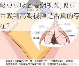 吸豆豆吸到高潮视频;吸豆豆吸到高潮视频是否真的存在？