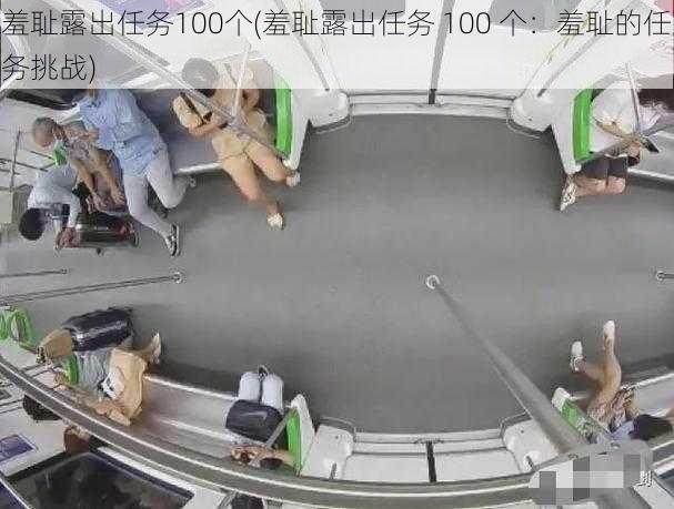 羞耻露出任务100个(羞耻露出任务 100 个：羞耻的任务挑战)