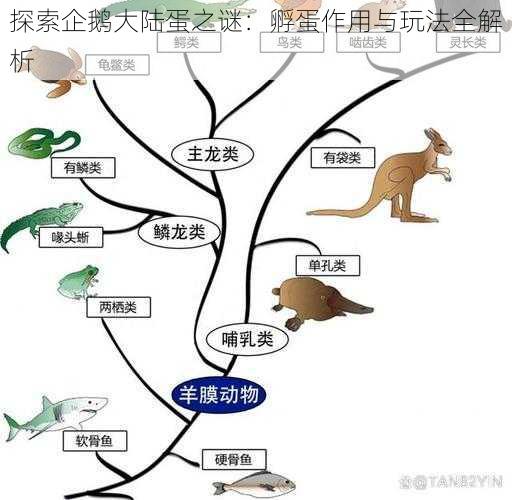 探索企鹅大陆蛋之谜：孵蛋作用与玩法全解析