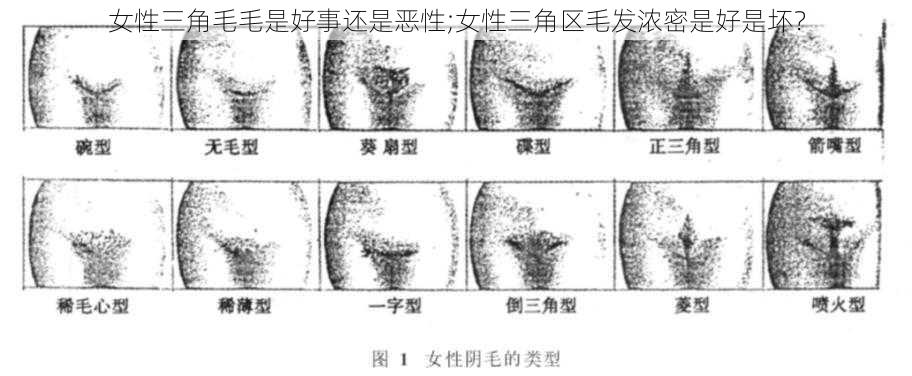 女性三角毛毛是好事还是恶性;女性三角区毛发浓密是好是坏？