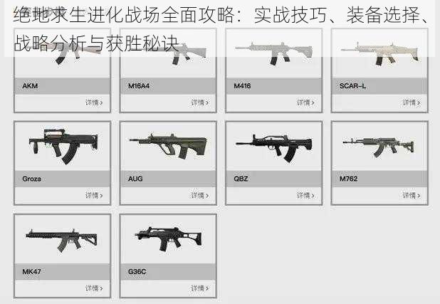 绝地求生进化战场全面攻略：实战技巧、装备选择、战略分析与获胜秘诀