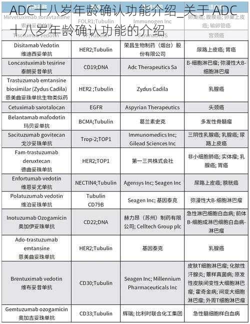 ADC十八岁年龄确认功能介绍_关于 ADC 十八岁年龄确认功能的介绍