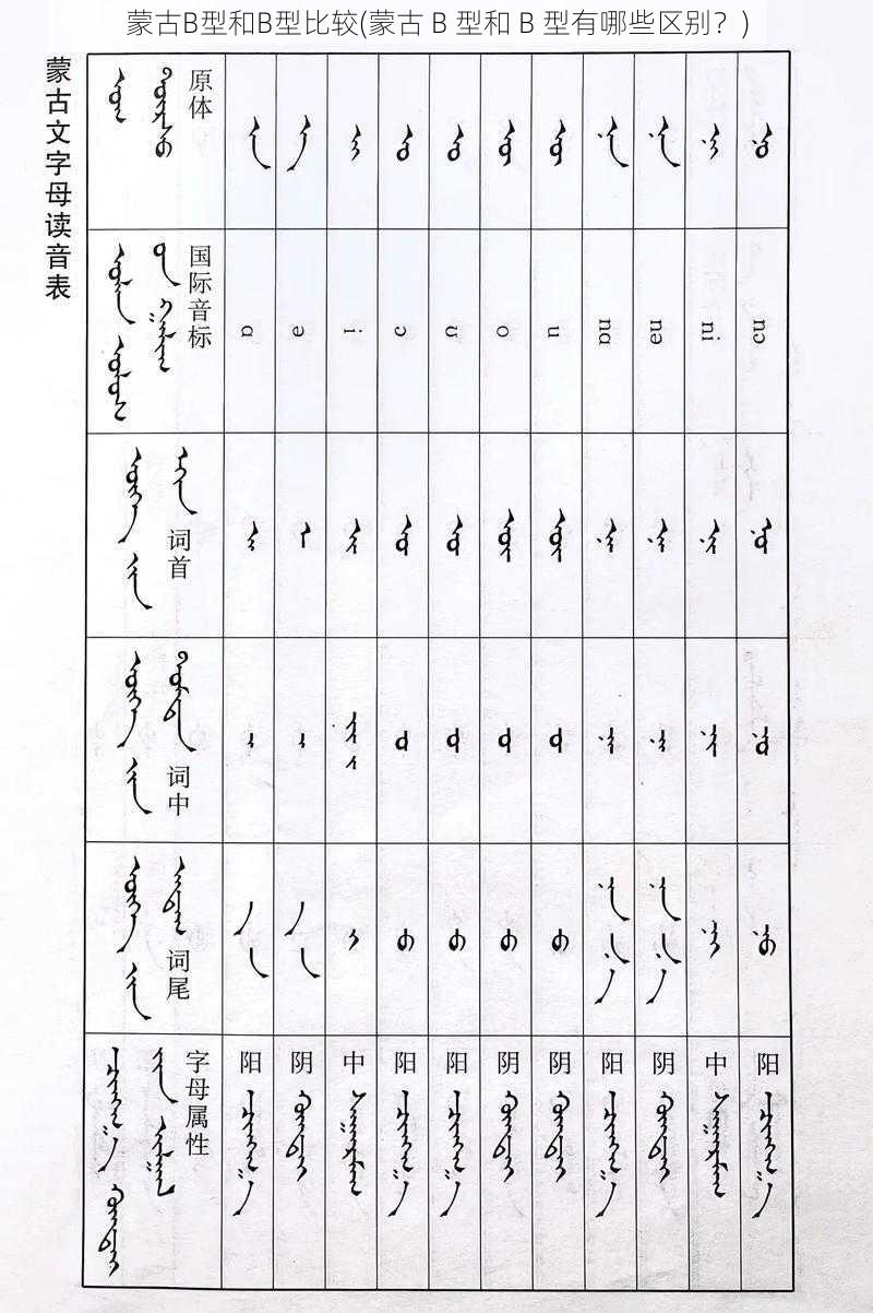 蒙古B型和B型比较(蒙古 B 型和 B 型有哪些区别？)