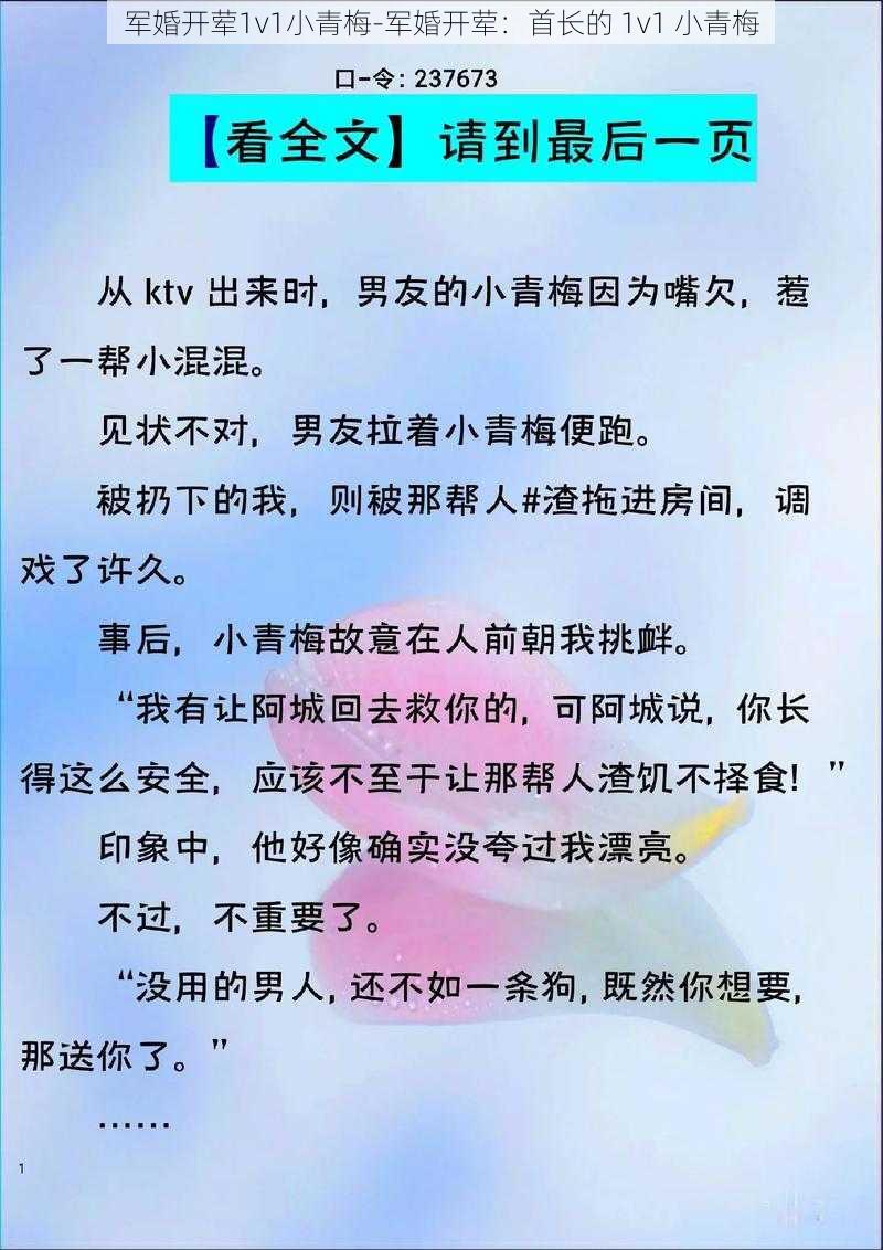 军婚开荤1v1小青梅-军婚开荤：首长的 1v1 小青梅