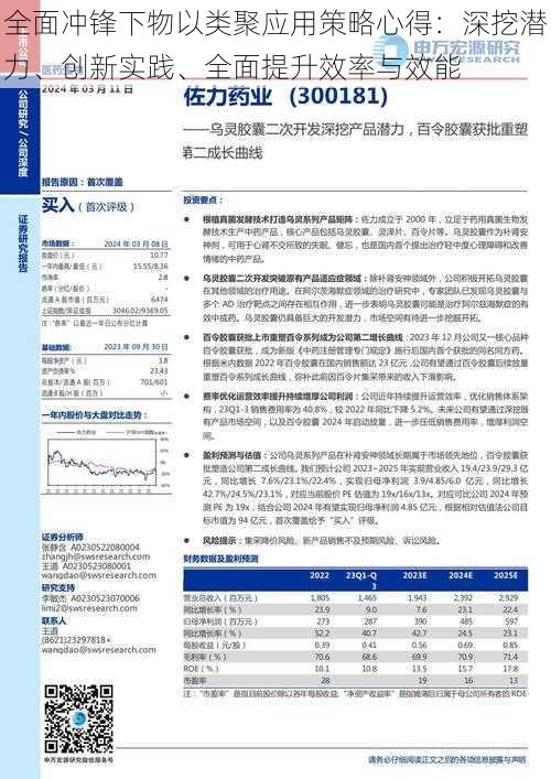 全面冲锋下物以类聚应用策略心得：深挖潜力、创新实践、全面提升效率与效能