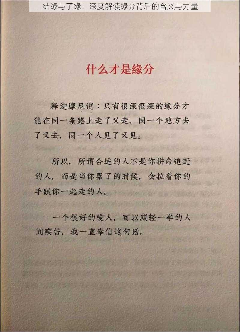 结缘与了缘：深度解读缘分背后的含义与力量