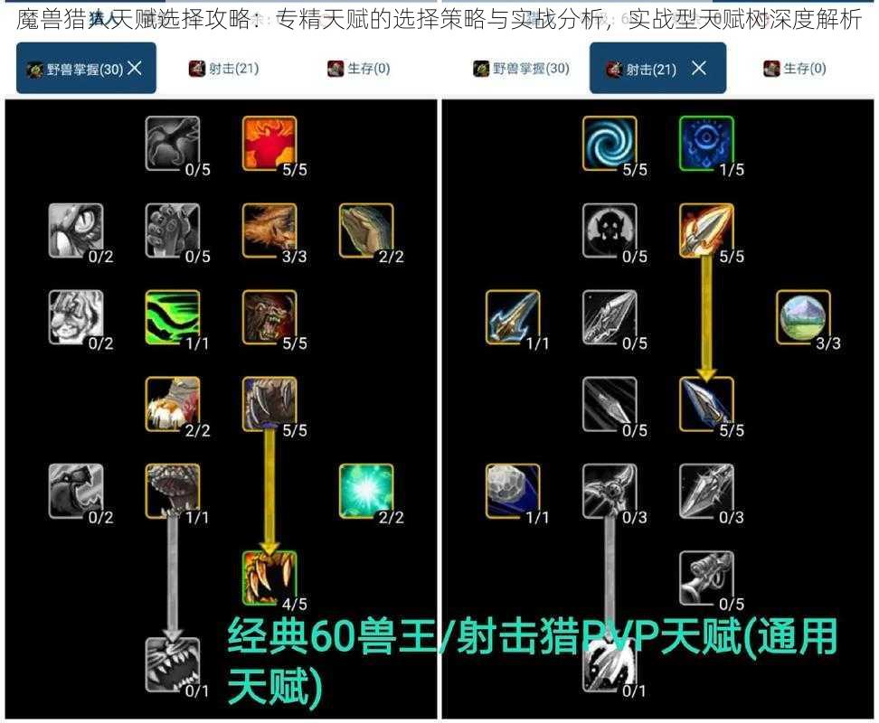 魔兽猎人天赋选择攻略：专精天赋的选择策略与实战分析，实战型天赋树深度解析