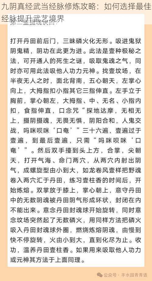 九阴真经武当经脉修炼攻略：如何选择最佳经脉提升武艺境界