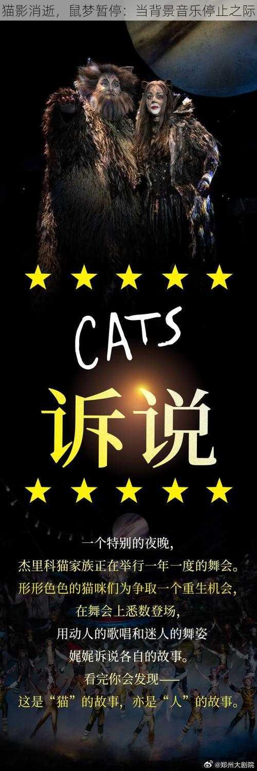 猫影消逝，鼠梦暂停：当背景音乐停止之际