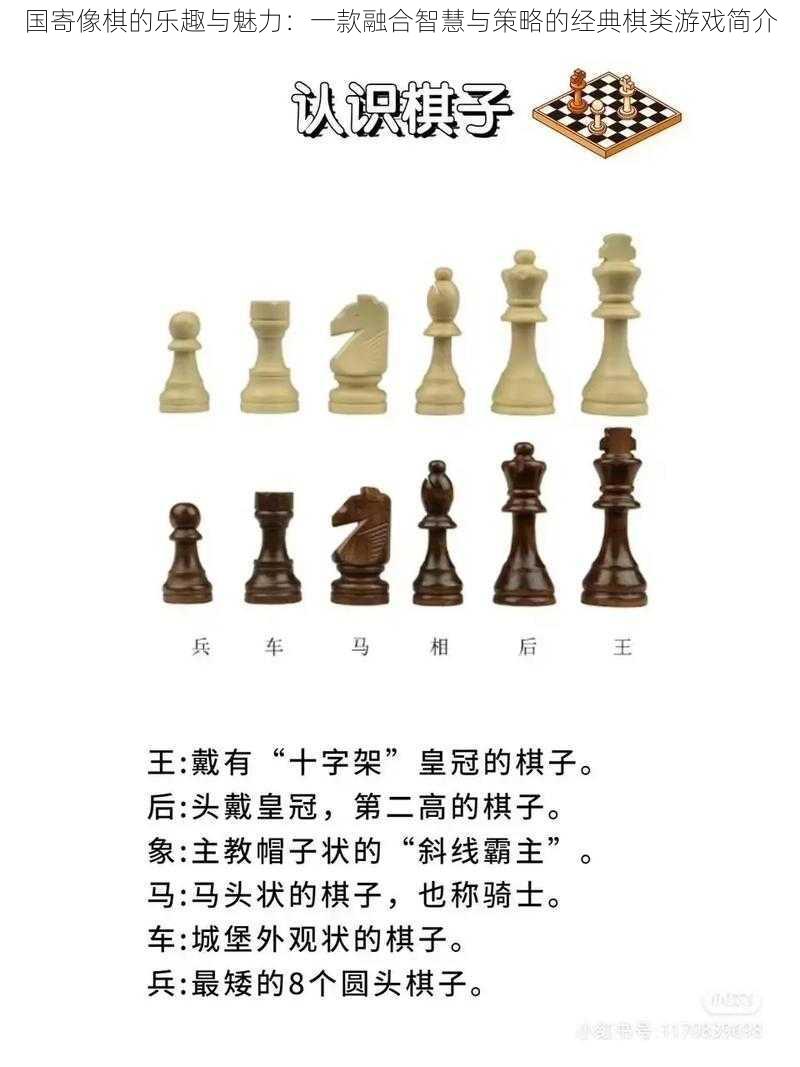 国寄像棋的乐趣与魅力：一款融合智慧与策略的经典棋类游戏简介