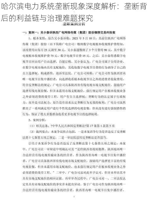 哈尔滨电力系统垄断现象深度解析：垄断背后的利益链与治理难题探究