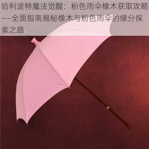 哈利波特魔法觉醒：粉色雨伞橡木获取攻略——全面指南揭秘橡木与粉色雨伞的缘分探索之路