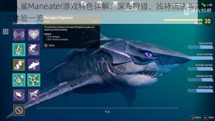 食人鲨Maneater游戏特色详解：深海狩猎、独特玩法与沉浸式体验一览