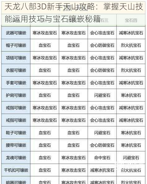 天龙八部3D新手天山攻略：掌握天山技能运用技巧与宝石镶嵌秘籍