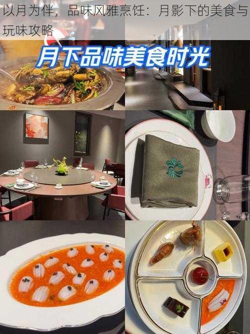 以月为伴，品味风雅烹饪：月影下的美食与玩味攻略