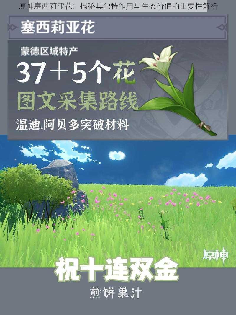 原神塞西莉亚花：揭秘其独特作用与生态价值的重要性解析