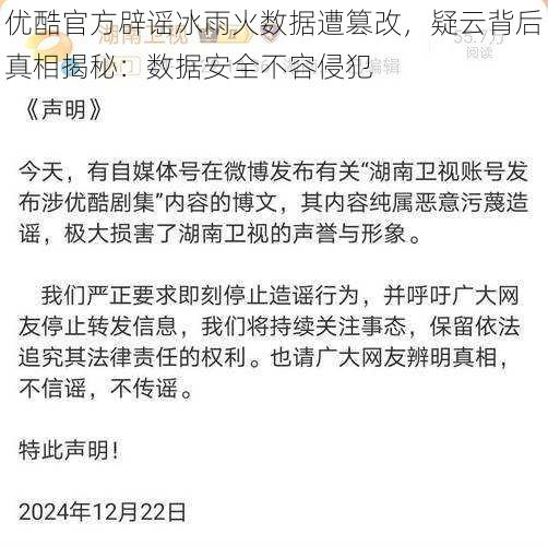 优酷官方辟谣冰雨火数据遭篡改，疑云背后真相揭秘：数据安全不容侵犯